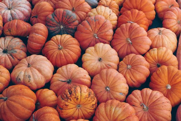 A large pile of assorted orange pumpkins of various sizes and shapes viewed from above.