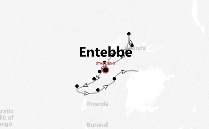 Safari in Uganda: trekking con i Gorilla di montagna e safari con i Big 5