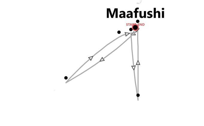 Maldivas Beach Life: entre tiburones, rayas y delfines