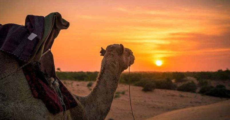 Lampoul-Desert.jpeg