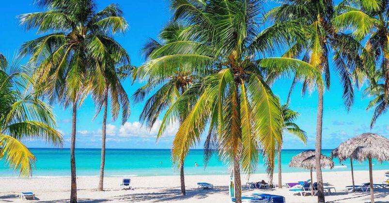 Palme si ergono su una spiaggia di sabbia bianca con lettini, affacciata su un oceano turchese calmo sotto un cielo azzurro limpido.