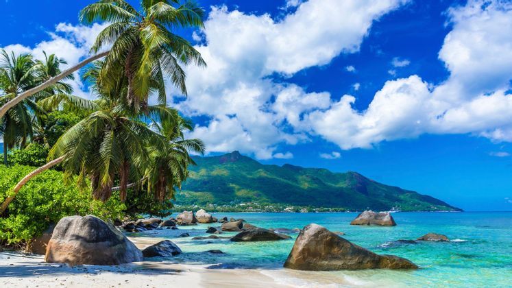 azure-seas-and-palm-trees-seychelles.jpg