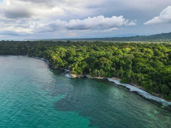 Una vista aerea di una giungla verde lussureggiante che si fonde con l'oceano turchese lungo una costa rocciosa, sotto un cielo parzialmente nuvoloso.