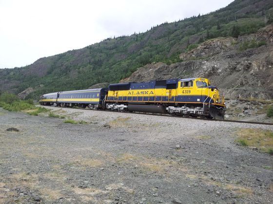 alaska-train-us-tour-discover-adventure-trip.jpeg