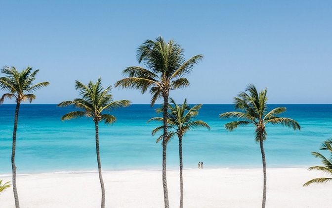 settaruba.jpg