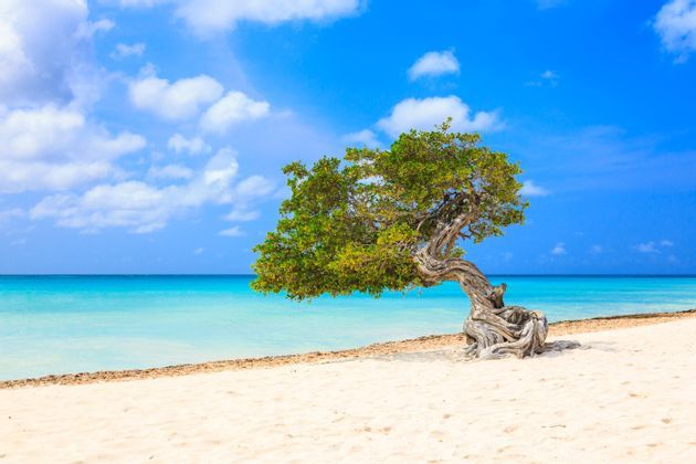 aruba-beach-header-14175594.jpeg