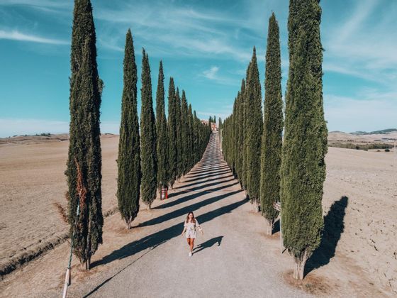 An aerial view of a woman walking on a long road lined with tall cypress trees that cast long shadows across the path.