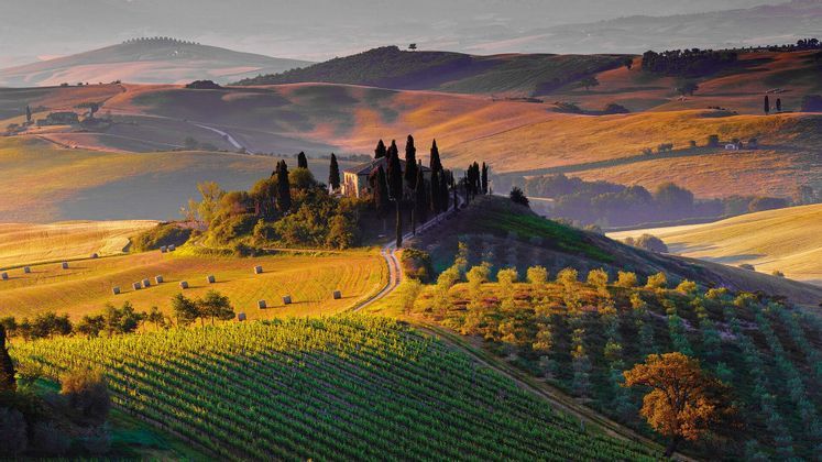 A villa surrounded by cypress trees sits on a rolling hill above a vineyard and golden fields with hay bales.