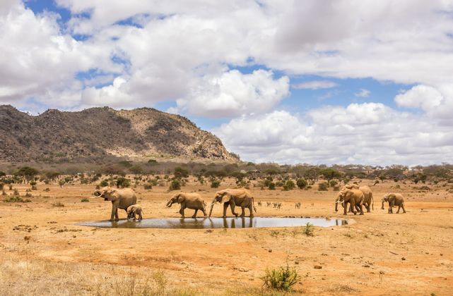 namibia-wild-adv8.jpg