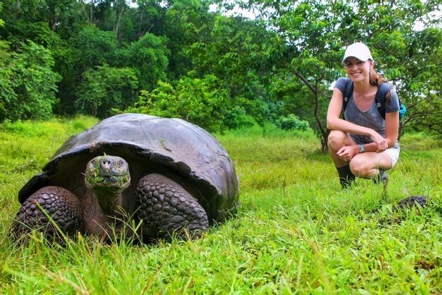 Galapagos-Tortoise.jpg
