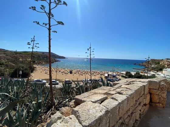 Elevated view of a crowded sandy cove beach under a bright sunny sky, seen past agave plants and a stone wall.