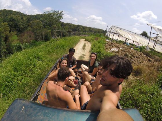 Vietnam-nature-group-jeep