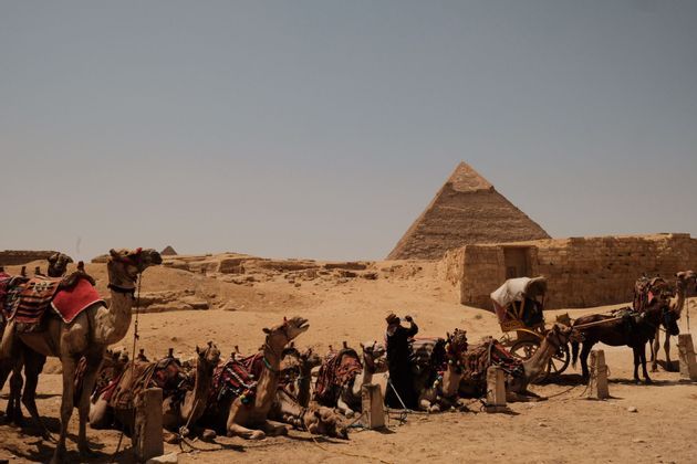 Camels resting in the sand near an ancient pyramid and stone ruins under a clear sky.