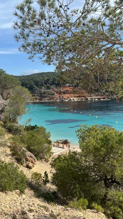 Turquoise coastal bay framed by pine trees and rocky cliffs with people walking on the shore.