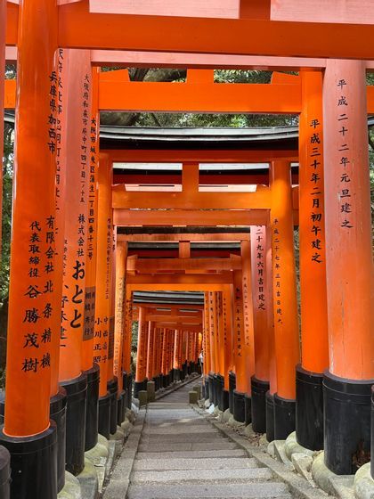 Portes torii orange vif avec des bases noires et des inscriptions bordant un chemin d'escalier en pierre descendant.