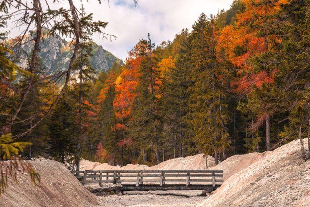 Un ponte di legno attraversa un letto di fiume asciutto e roccioso, di fronte a una fitta foresta con fogliame autunnale arancione e giallo, sul fianco di una montagna.