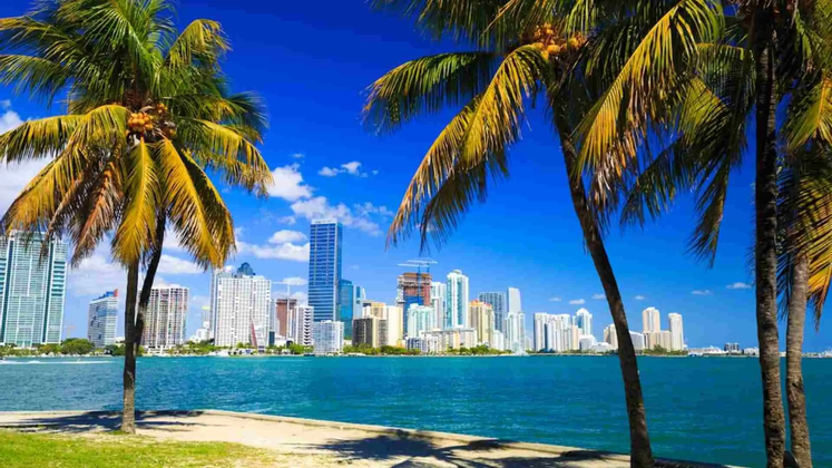 cosa-fare-a-miami.jpg
