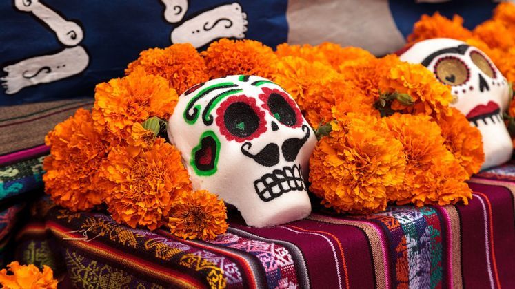A close-up of a decorated sugar skull resting on a bed of orange marigolds and a patterned textile.