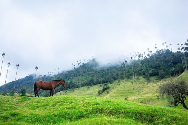 Viaja en grupo con WeRoad con gente de tu edad y descubre Colombia de los Andes al Mar Caribe