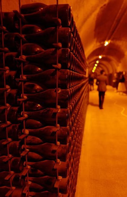 File di bottiglie di vino invecchiate sugli scaffali fiancheggiano una lunga cantina a volta, dove un gruppo WeRoad sta esplorando.