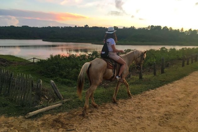 Scopri Cuba anche a dorso di un cavallo