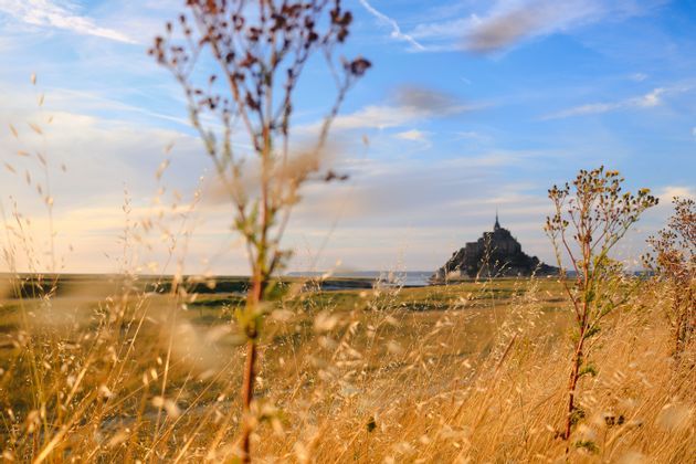 Un'abbazia storica su un'isola soggetta alle maree, vista da un campo di alta erba dorata sotto un cielo blu.