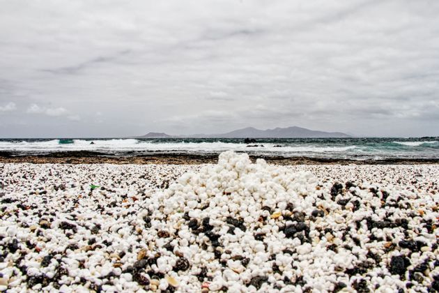 Viaja en grupo con WeRoad con gente de tu edad y descubre Fuerteventura, su naturaleza y playas, y aprende a surfear
