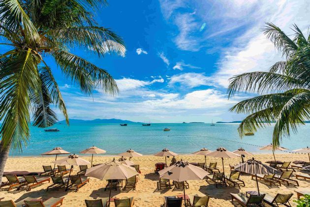 Una spiaggia assolata con file di ombrelloni e lettini sulla sabbia, incorniciata da palme, che si affaccia su un mare calmo con barche.