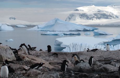 Antartide e Patagonia Expedition