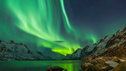 Das Nordlicht leuchtet grün am Sternenhimmel über einem Fjord, umgeben von schneebedeckten Bergen.