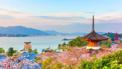 Une vue pittoresque d'une pagode japonaise et d'un torii au bord de l'eau, encadrée par des cerisiers en fleurs, avec des montagnes en arrière-plan.