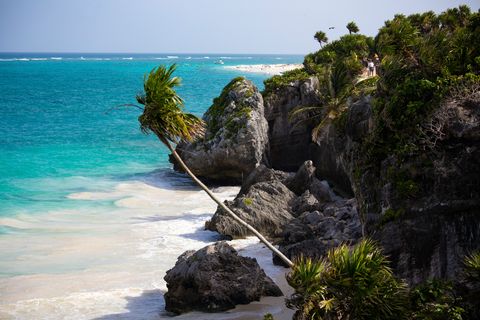 A palm tree leans out from a rocky, verdant cliff over a white sand beach with turquoise water.