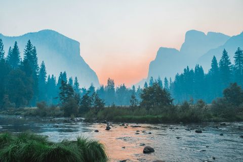 A rocky river flows through a pine forest with misty mountains in the background under a sunset sky.