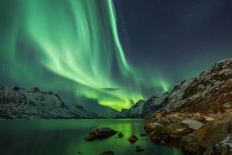 Corrientes verdes de la Aurora Boreal iluminan un cielo nocturno estrellado sobre un fiordo y montañas cubiertas de nieve.