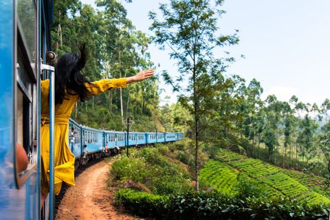 Una persona con un vestido amarillo se asoma por la ventana de un tren azul mientras este atraviesa exuberantes plantaciones de té verde.