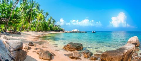 Una playa tropical de arena con grandes rocas se une al claro océano turquesa bajo un cielo azul con palmeras en la orilla.