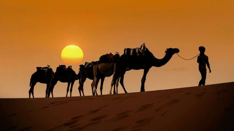Silhouetten einer Person, die bei Sonnenuntergang eine Kamelkarawane über eine Sanddüne führt.