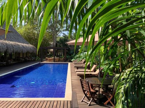 Una piscina tropical de resort con un deck de madera y tumbonas, enmarcada por grandes hojas de palma verdes.