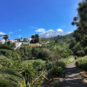 Tenerife: plage, rando, volcan et nature