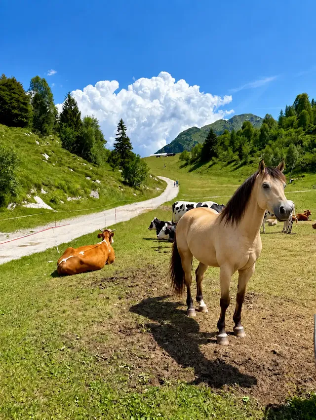 Sunday Reset: 1000 D+ al Rifugio Lecco