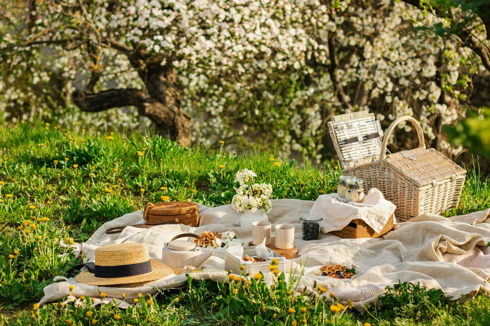 Pic nic alle Cascine 