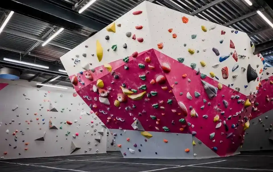 Social Climbing: beginner friendly