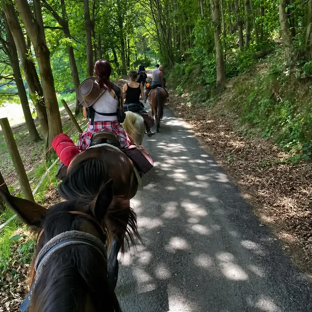 🐎🌿 Passeggiata a cavallo ai Laghi di Avigliana