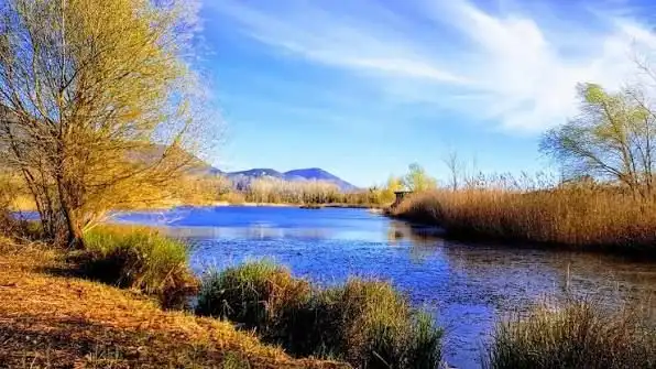 🌳 Visita al Parco Pantanello 🌳