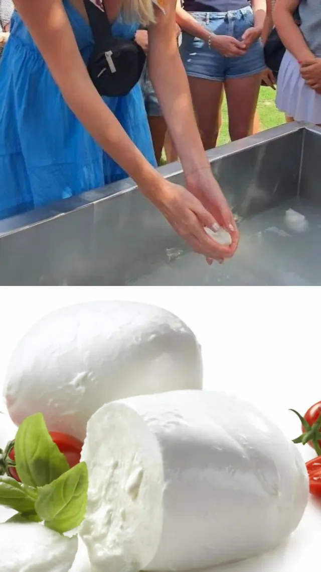 Apericena Mozzarella experience: dalla stalla alla tavola 