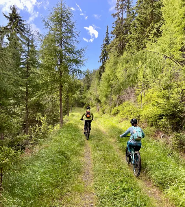 🚵 E-Bike Tour al Colle di Crevacol + Degustazione 🧀🍷