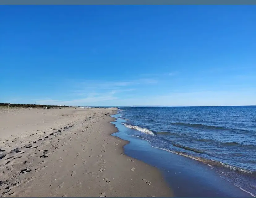 Una Giornata di Mare