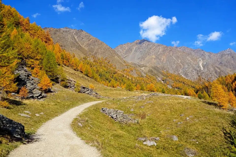 Foliage in Val di Fosse