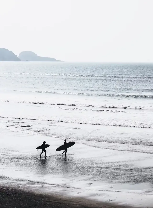 Summer Surf Session 