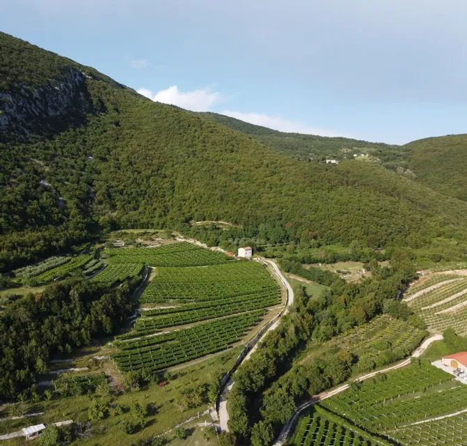 Tour in cantina: Valpolicella 